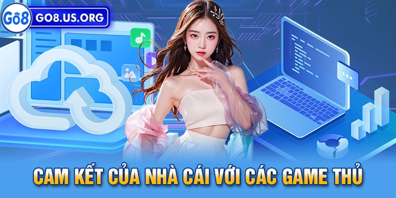 Nội dung chính trong điều khoản điều kiện tại Go8