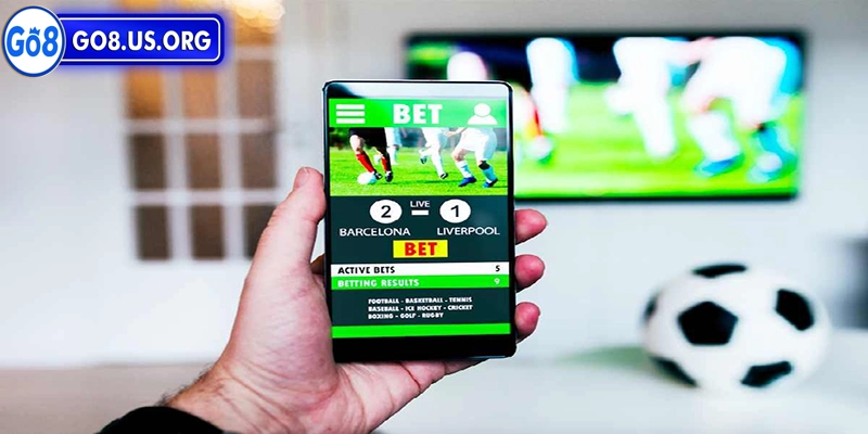 Cá cược bóng đá online là lựa chọn hàng đầu